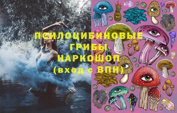 гидра Вязники