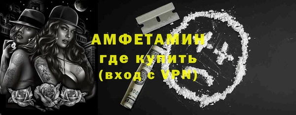 гидра Вязники