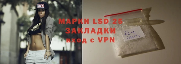 гидра Вязники