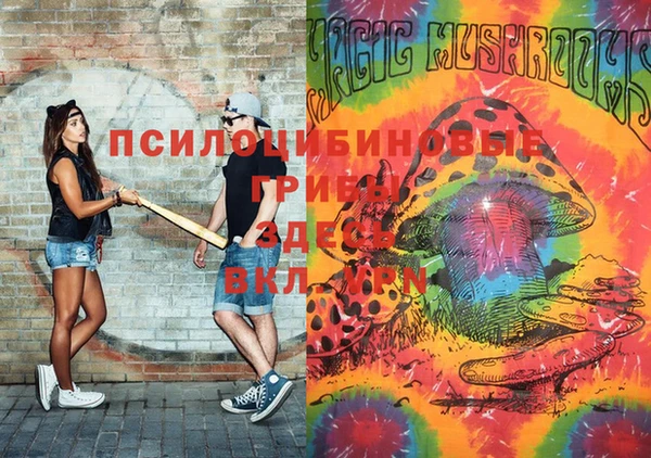 гидра Вязники