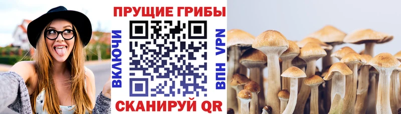 Купить где  Мариинск  Псилоцибиновые грибы мухоморы 